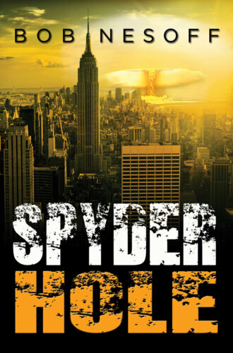 Spyder Hole Book Cover