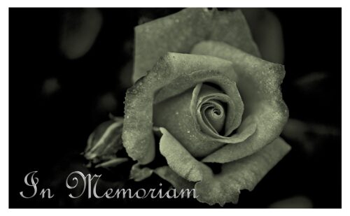 black and white image of rose with words In Memoriam