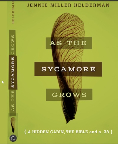 Cover of As the Sycamore Grows