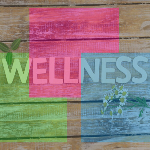 Wellness webinar