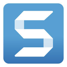 Snagit logo
